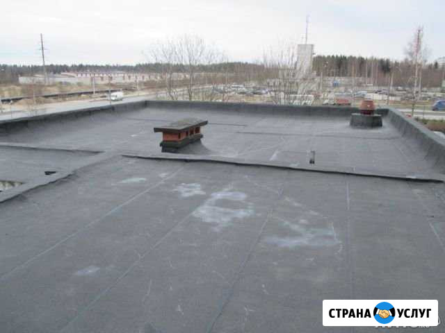 Кровельные работы, мягкая кровля Сосновый Бор - изображение 1