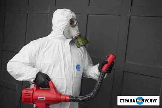 Дизинфекция Красноярск