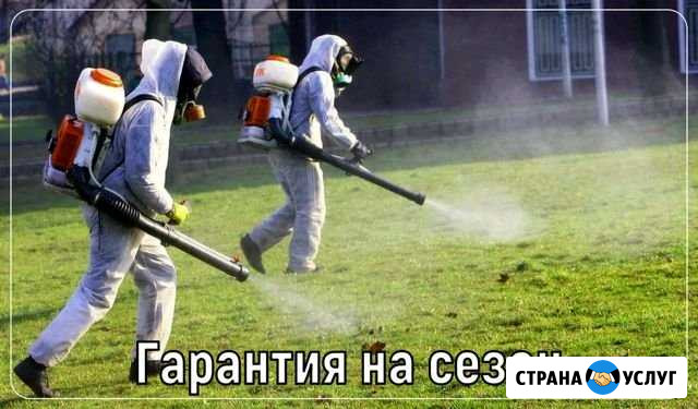 Обработка участка от клещей, кротов, борщевика, ос Мытищи - изображение 1