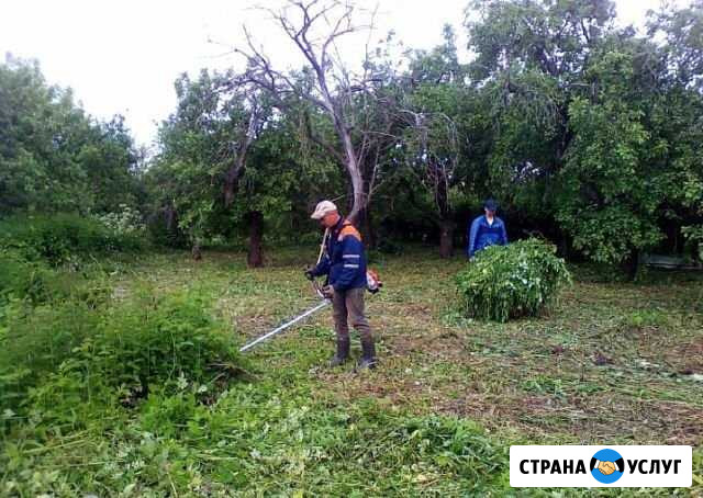 Благоустройство дачных участков Орёл - изображение 1