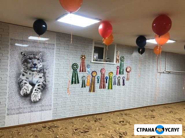Дог-центр «Самураи» Сосногорск - изображение 1