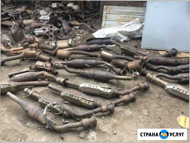 Скупка катализаторов. Прием катализаторов Владимир - изображение 1