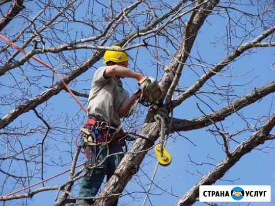 Спил деревьев Таганрог