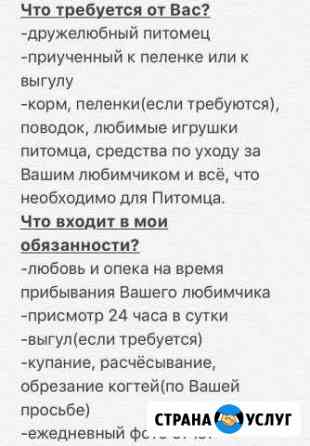 Няня для животных, Догситтер, передержка животных Ростов-на-Дону