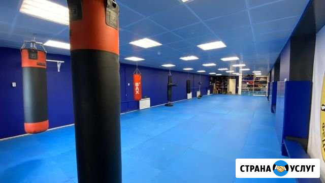 Аренда спортивного зала Санкт-Петербург - изображение 1