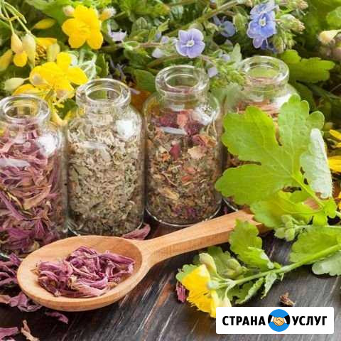 Ллечение Хакуринохабль - изображение 1