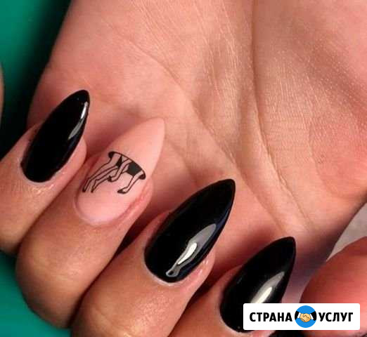 Шеллак Михайловск - изображение 1