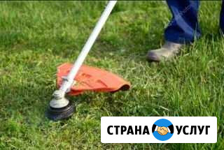 Покос травы оперативно Егорьевск - изображение 1