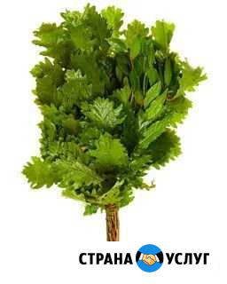 Веники дубовые Воскресенск - изображение 1