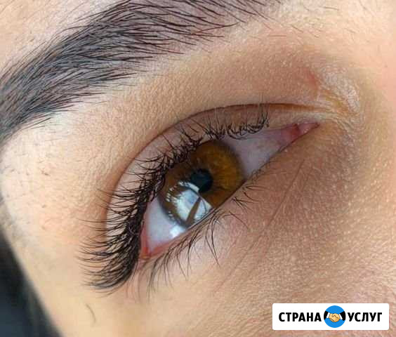 Ресницы, брови, косметология Реутов - изображение 1