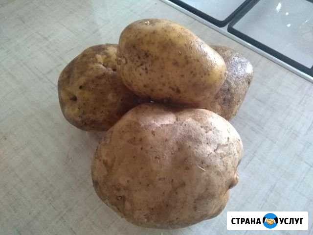 Для дома и дачт Альметьевск - изображение 1