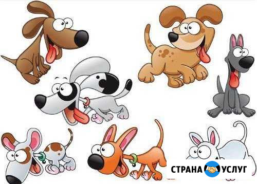 Зоогостиница в Ульяновске. Передержка собак Ульяновск - изображение 1