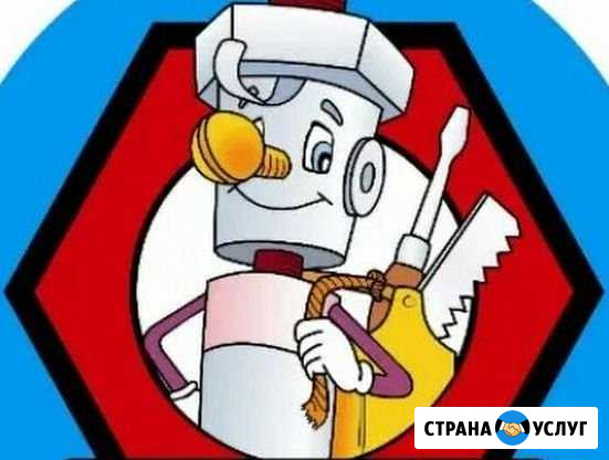 Мастер на дом Ломоносов - изображение 1