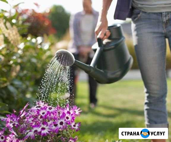 Уезжаете в отпуск Присмотрю за грядками Клин - изображение 1