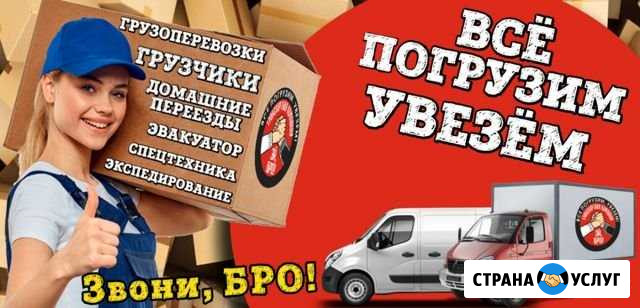 Грузоперевозки Славгород - изображение 1