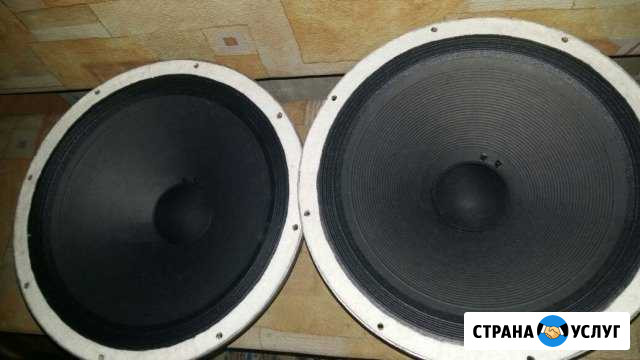 Ремонт динамиков Пенза - изображение 1