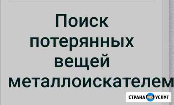 Поиск потеренных вещей с помощью металлоискателя Железногорск