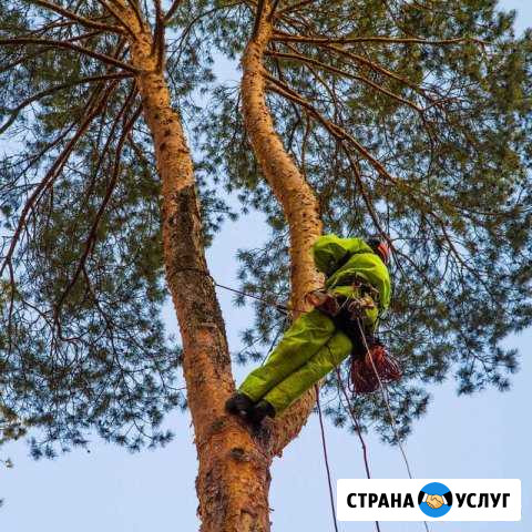 Спил, удаление сложных деревьев. Обрезка кустов Петрозаводск - изображение 1