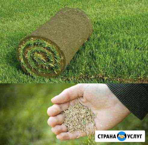 Газоны. Благоустройство участков Нижний Новгород