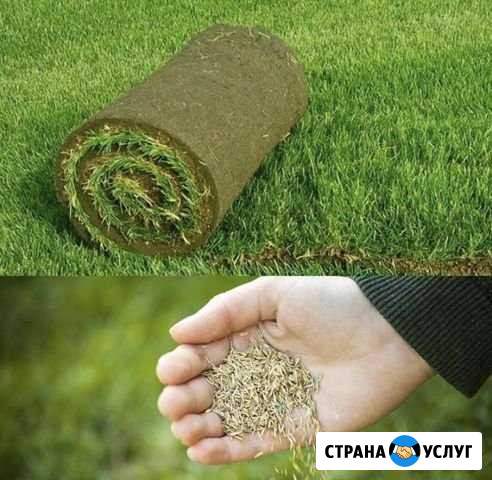 Газоны. Благоустройство участков Нижний Новгород - изображение 1