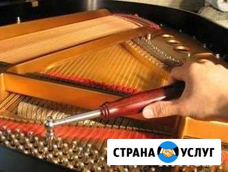 Настройка фортепьяно Воронеж - изображение 1
