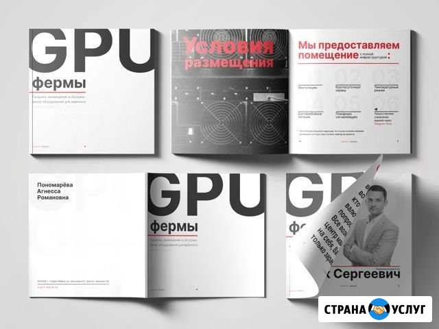 Графический Омск - изображение 1