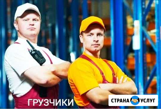 Грузчики. Переезды Череповец - изображение 1