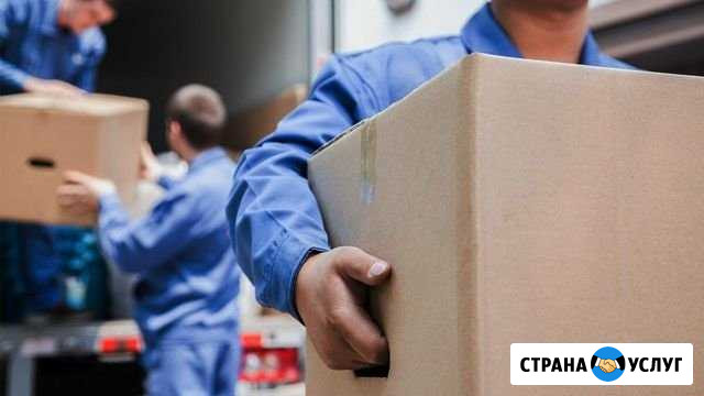 Грузчики Севастополь - изображение 1