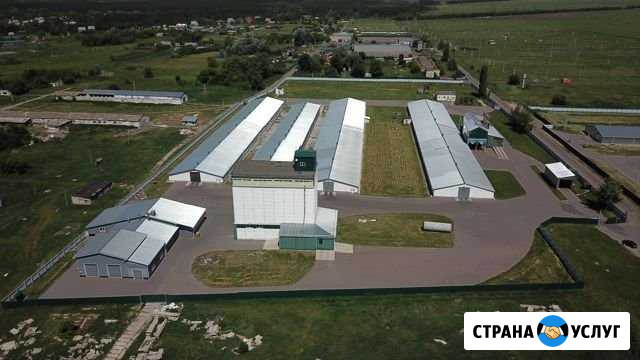 Услуги хранения,подработки,перевалки,фасовки Новая Усмань - изображение 1