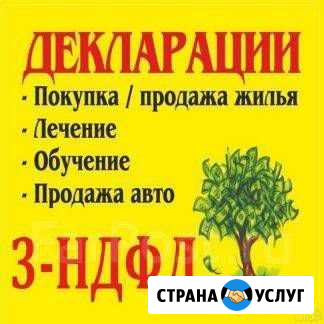 3 ндфл- заполню дистанционно Хабаровск - изображение 1