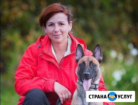 Дрессировка собак. Передержка Чехов - изображение 1
