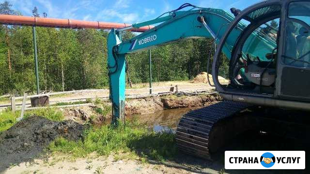 Услуги гусеничного экскаватора Петрозаводск - изображение 1