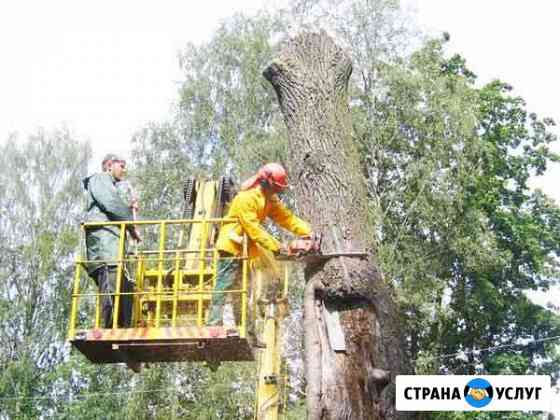 Спил деревьев Темрюк