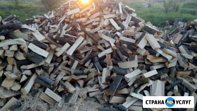 Дрова Гурьевск - изображение 1