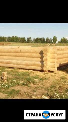 Дома бани беседки из древесного сруба Брянск - изображение 1