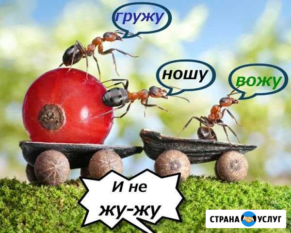 Грузчики Чебоксары Чебоксары - изображение 1