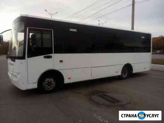 Автобус на заказ hyundai 31 место Омск