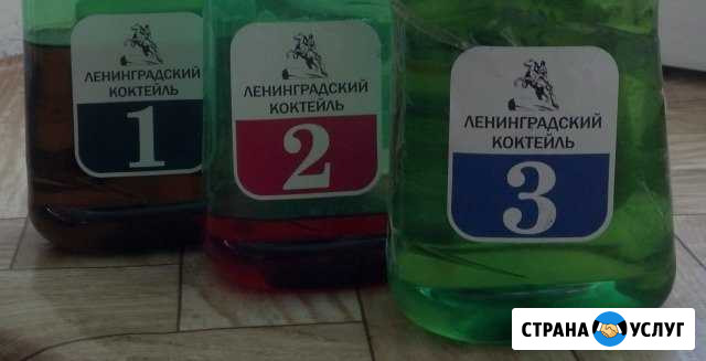 Уничтожить тараканов и клопов Иркутск - изображение 1