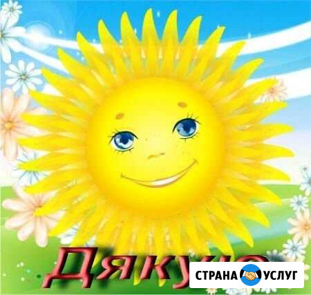 Уборка по дому, выгул собак, поход в магазин Москва - изображение 1