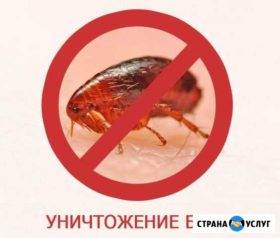 Услуги Мещовск - изображение 1