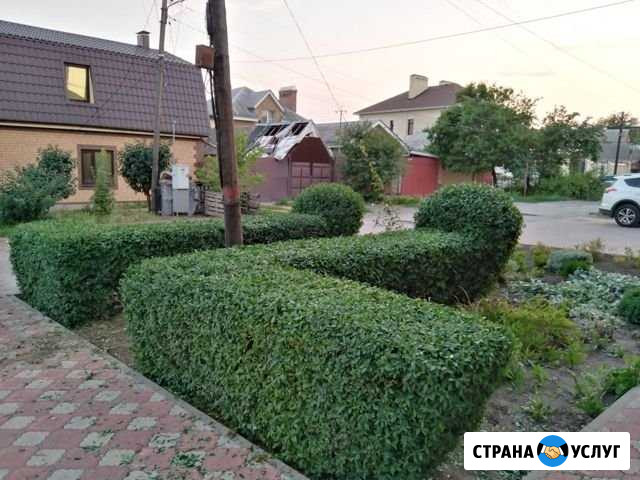 Декоративные стрижки Таганрог - изображение 1