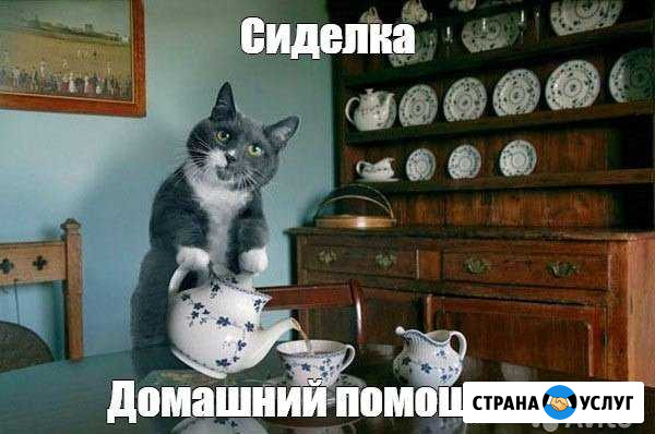 Сиделка / Домашний помощник Улан-Удэ - изображение 1