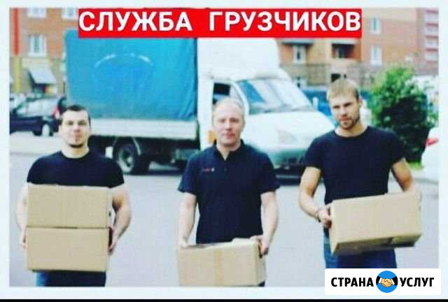 Грузчики+Газели, Разнорабочие Вологда - изображение 1