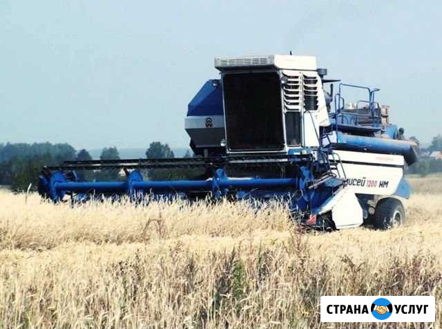 Уборка зерновых Бердюжье - изображение 1