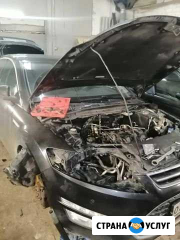 Замена цепи, ремня грм kia/hyundai, vw/audi Санкт-Петербург - изображение 1