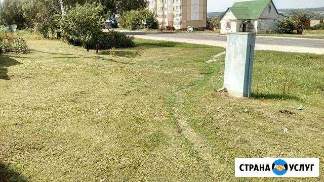 Покос травы Задонск - изображение 1
