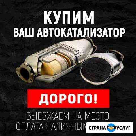 Катализатор Мичуринск