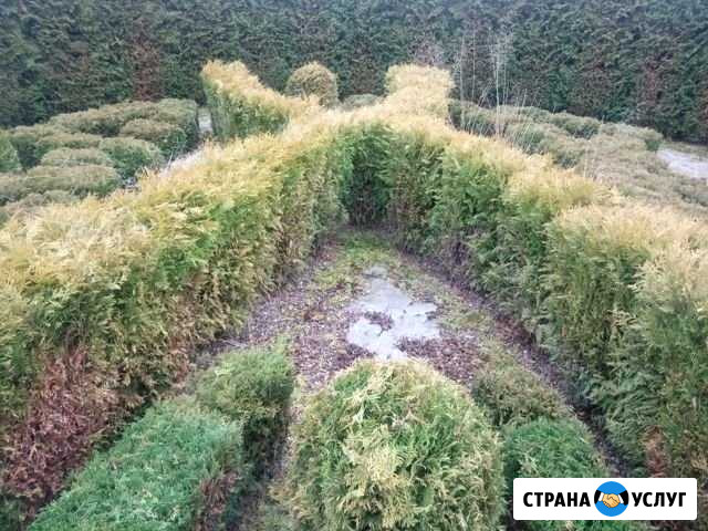 Услуги садовника Тольятти - изображение 1