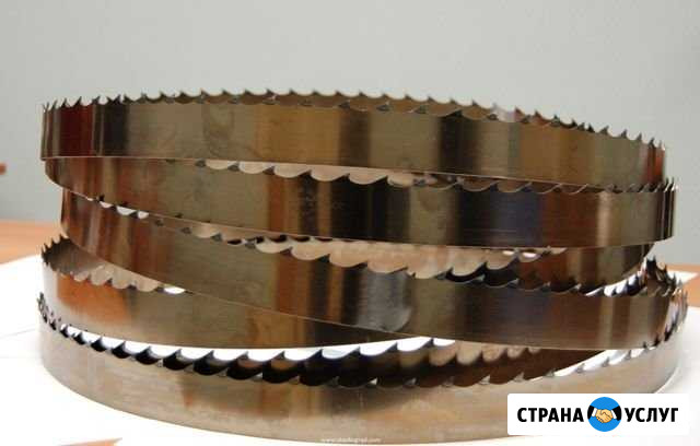 Пилоточ Апшеронск - изображение 1