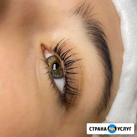 Ламинирование ресниц и бровей/Коррекция бровей Гатчина - изображение 1